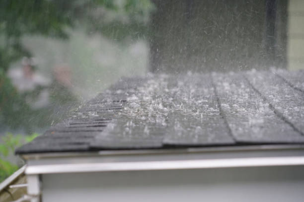 Best Sheet Metal Roofing  in Princevle, IL