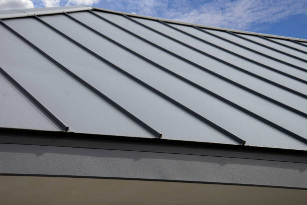 Steel Roofing in Princeville, IL